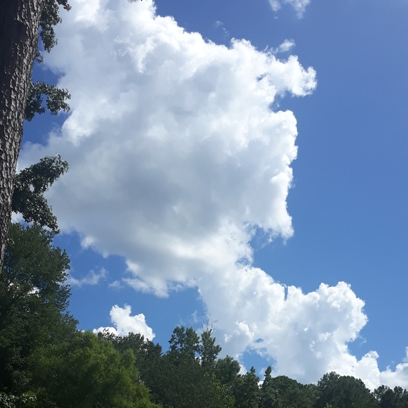 Meet your Posher, Leona - Picture 2 of 3